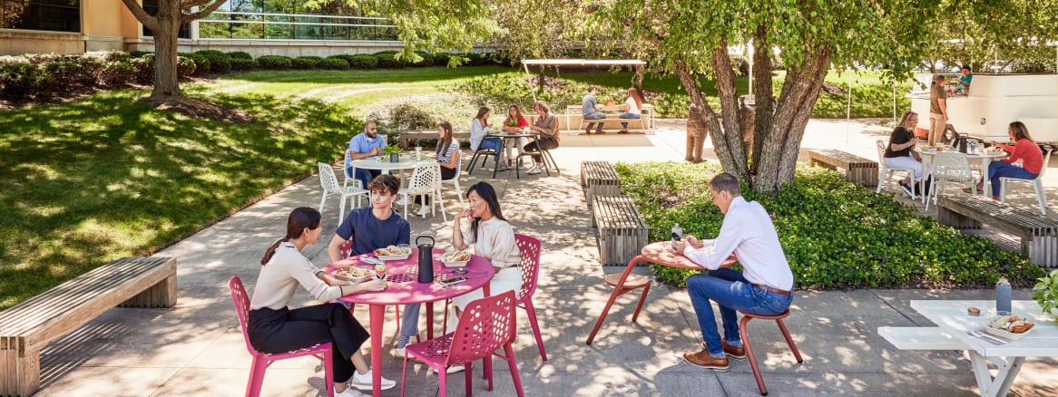Employees working and relaxing outside