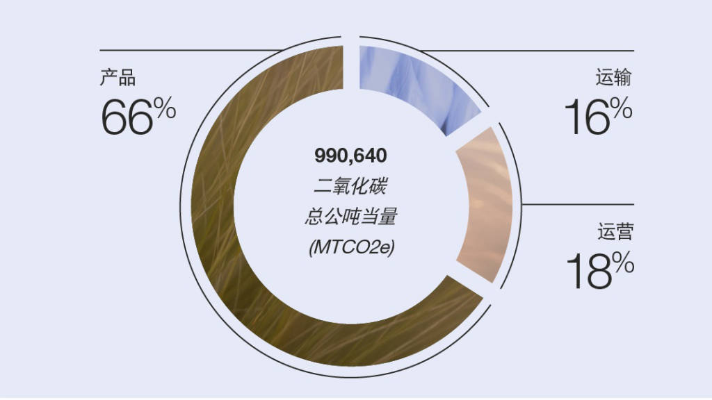 Net Zero Chinese
